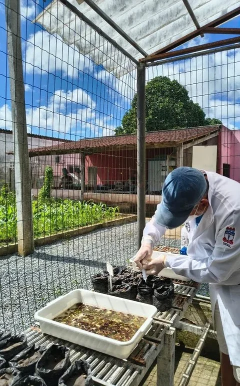 Ufal integra projeto campeão de prêmio nacional de preservação ao Meio Ambiente