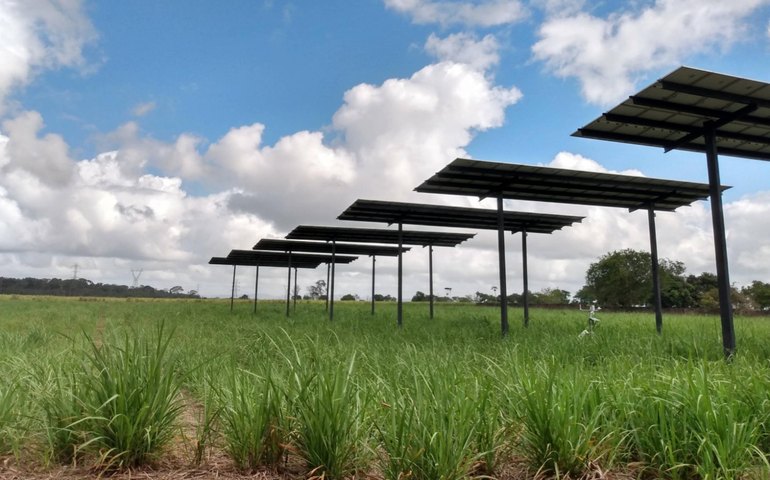 Alagoas está entre os estados que serão beneficiados com investimentos em energia limpa, diz Valor Econômico