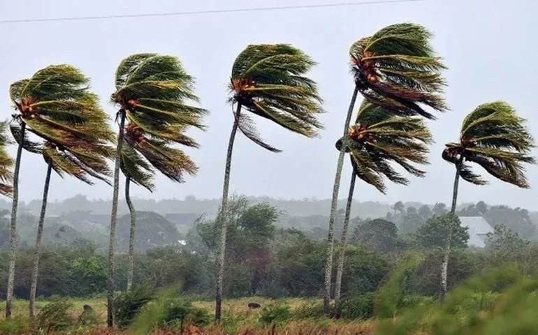 Tempestade de areia com ventos fortes na Austrália reduz visibilidade e bloqueia estradas