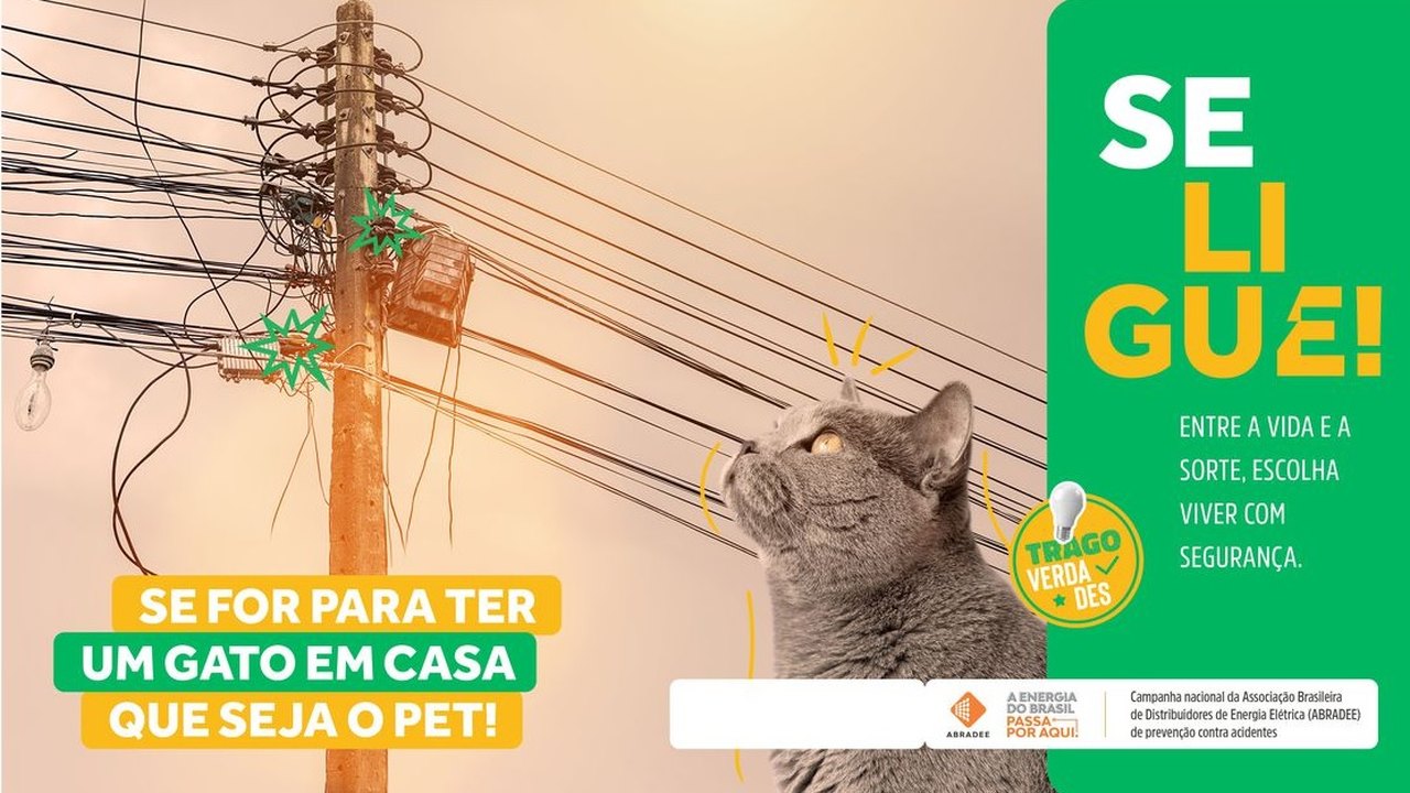 Agosto Vermelho busca conscientizar sobre acidentes com rede elétrica
