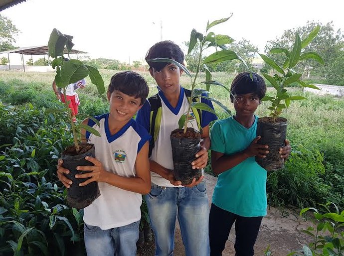 Seagri distribui 5 mil mudas de árvores nativas e exóticas a estudantes de Batalha