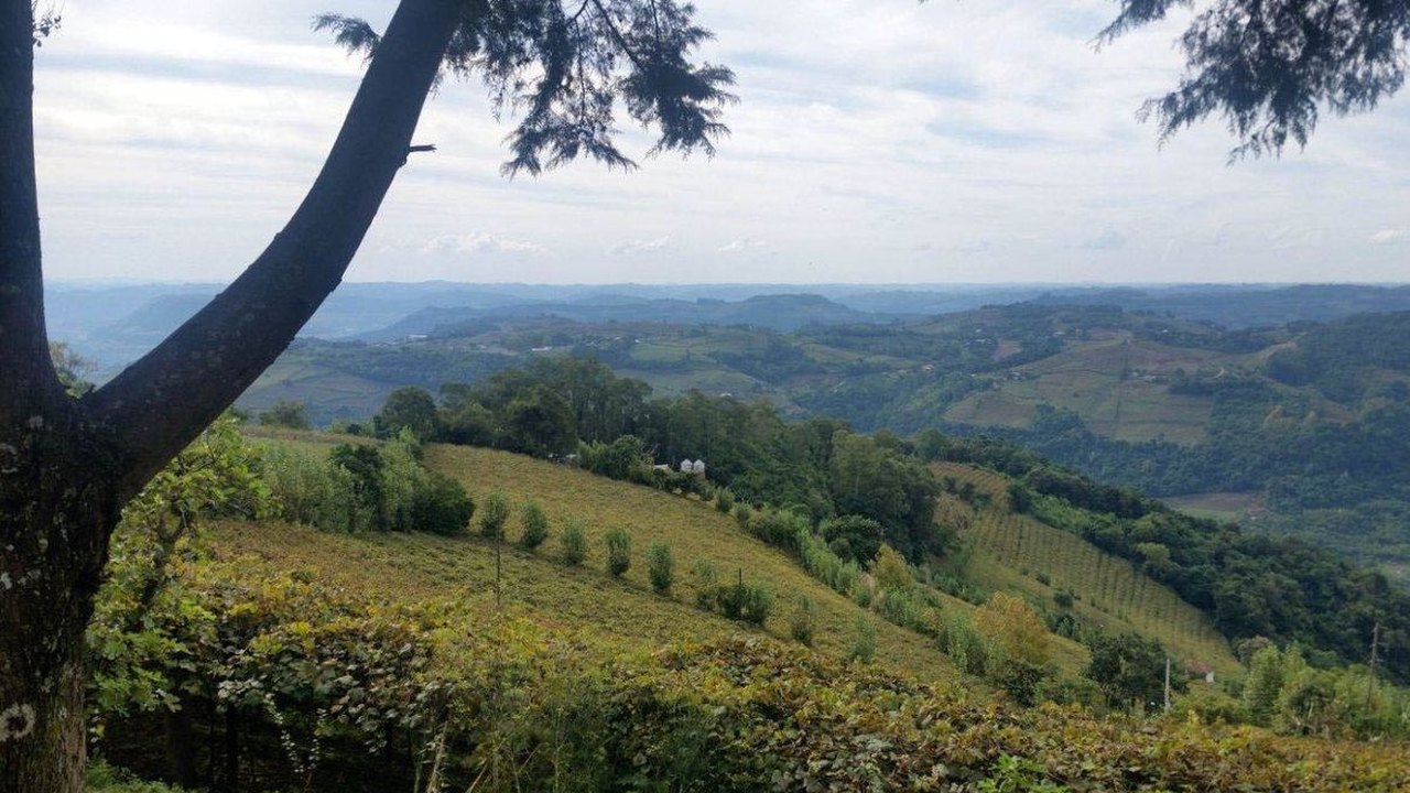 Ecoturismo se reinventa de Norte a Sul do Brasil