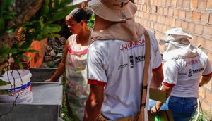 Sete municípios sergipanos tem alto índice de infestação por Aedes aegypti / Foto: Foto: SES/ Divulgação