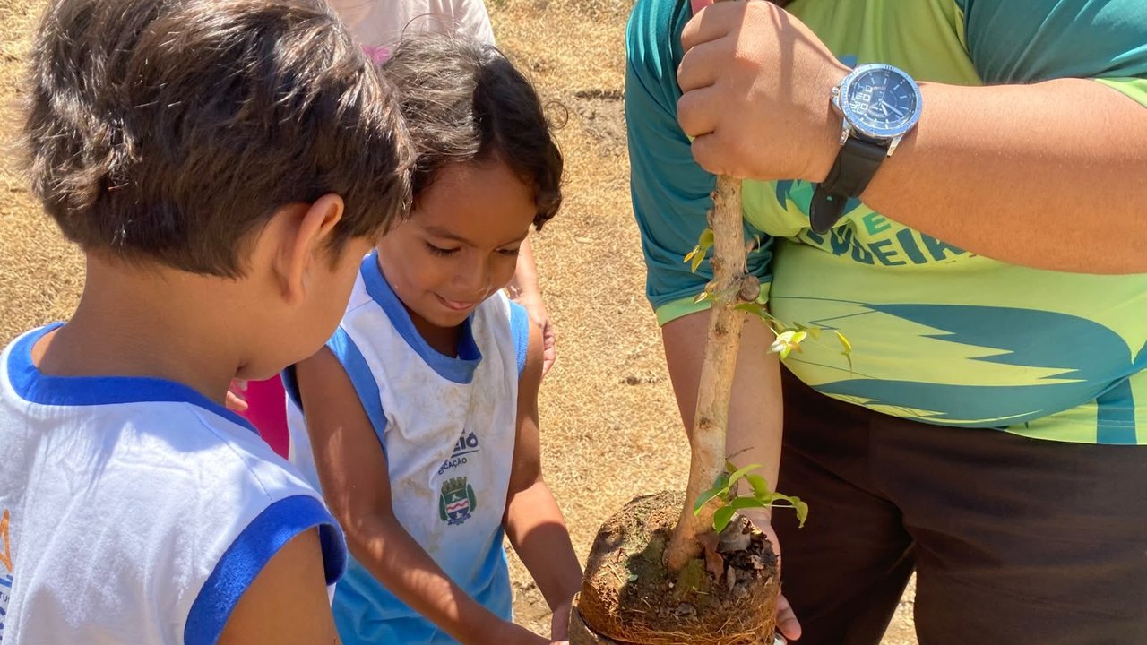Projeto Arborizar é Massa realiza atividades sustentáveis e plantio de árvores com crianças do Flexal