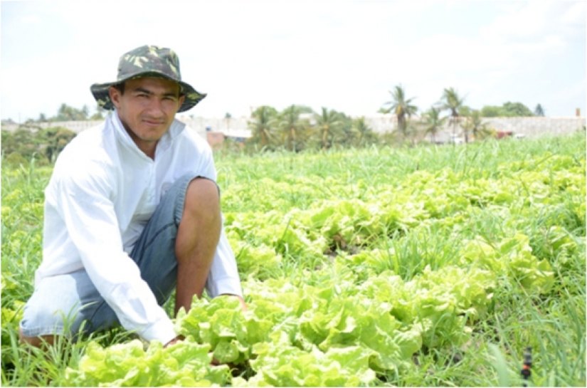 Projeto de Horticultura fortalece agricultores familiares em 50 municípios