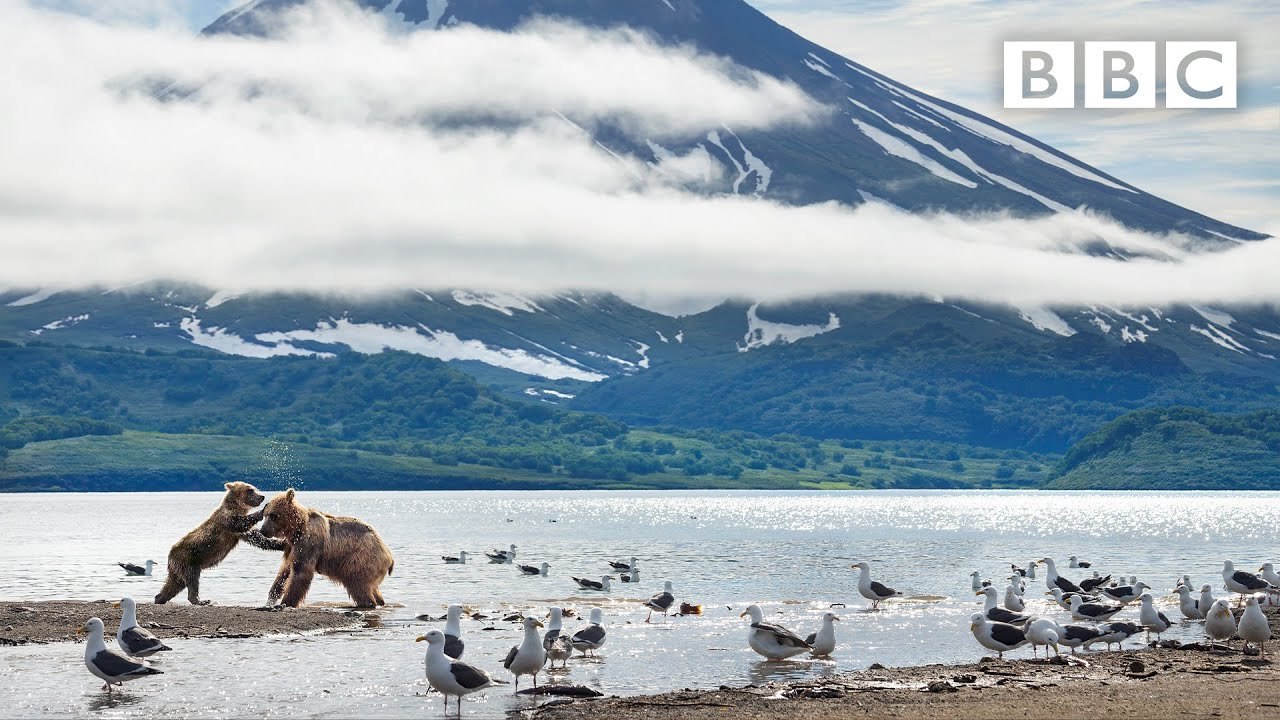 Filmada em 31 países, série ‘A Perfect Planet’ se inspira na natureza
