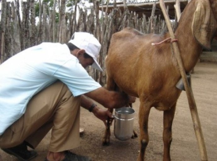 Financiamento da Desenvolve chega a comerciantes e criadores de Chã Preta
