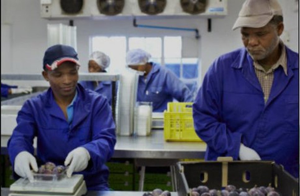 Quantidade de dias trabalhados no Brasil se aproxima da Noruega, já os serviços... Foto: Getty Image