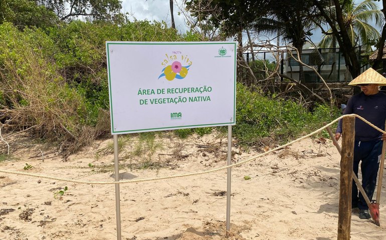 IMA/AL cria padrão para placas de identificação ambiental em Alagoas