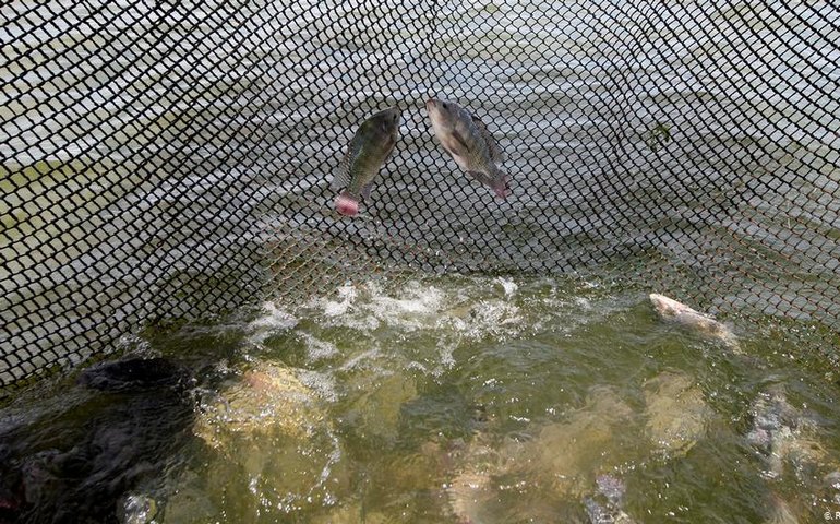 Governo regulamenta pesca esportiva em áreas de conservação ambiental