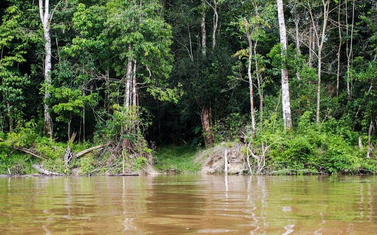 Selo Amazônia vai certificar produtos e serviços da região