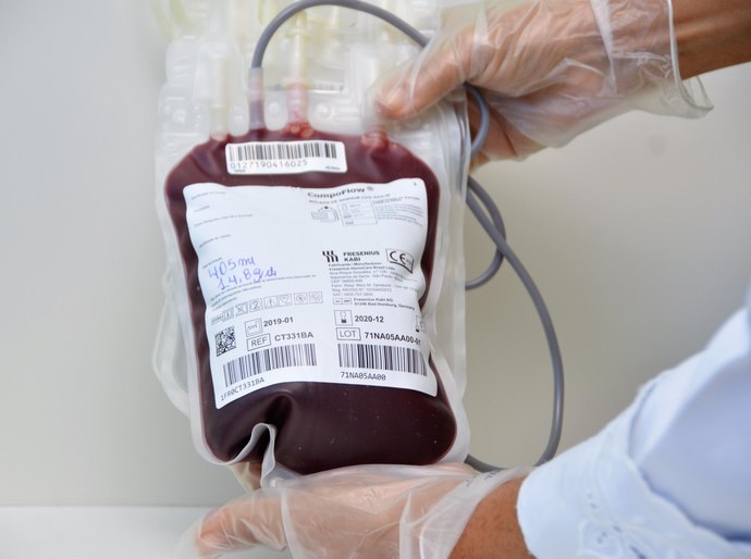 Hemoal faz coletas externas de sangue em Palmeira dos Índios e União dos Palmares nesta terça-feira (20)