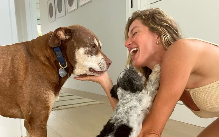 Gisele Bündchen celebra Valentine’s Day com post para seus cães: ‘Amor puro’