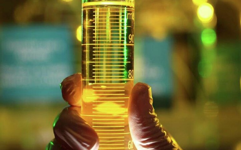 Petrobras supera meta de produção de óleo em 2025