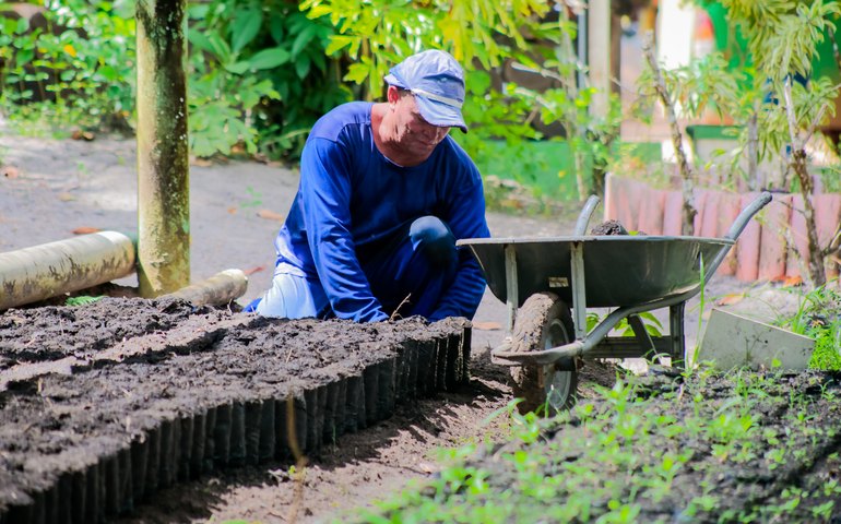 Disque Muda: Coruripe Mais Verde e Sustentável ao Seu Alcance