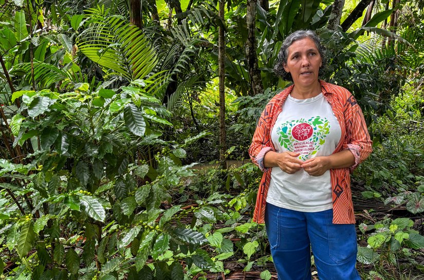 Agricultura de baixo carbono se transforma em realidade no campo alagoano