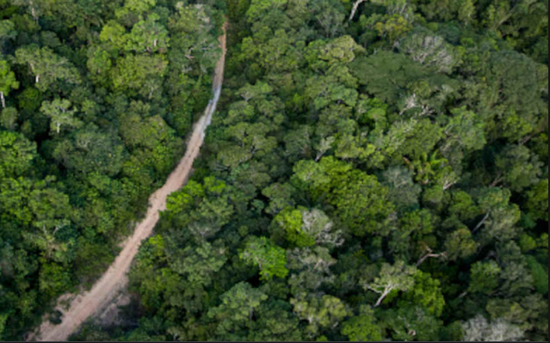 Instituto de mineração critica projeto que libera exploração de terra indígena