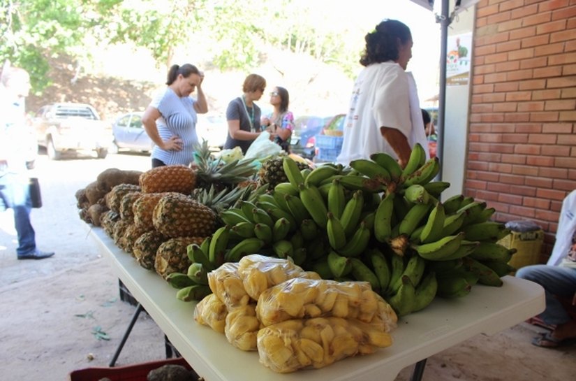 Feira orgânica comercializa frutas e verduras cultivadas sem agrotóxico