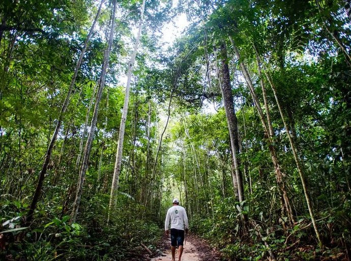 Agricultores que conservaram a floresta começam a receber R$ 2,2 milhões do Projeto Floresta+ Amazônia