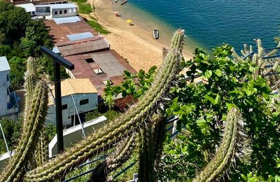 Pão de Açúcar inicia Semana do Meio Ambiente com ações em defesa do Rio São Francisco e foco em resiliência urbana