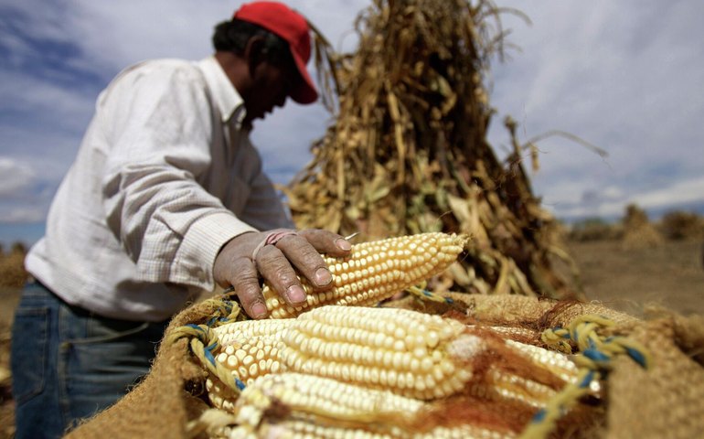 Especialistas preveem novo aumento dos alimentos em 2027 devido ao conflito no Oriente Médio