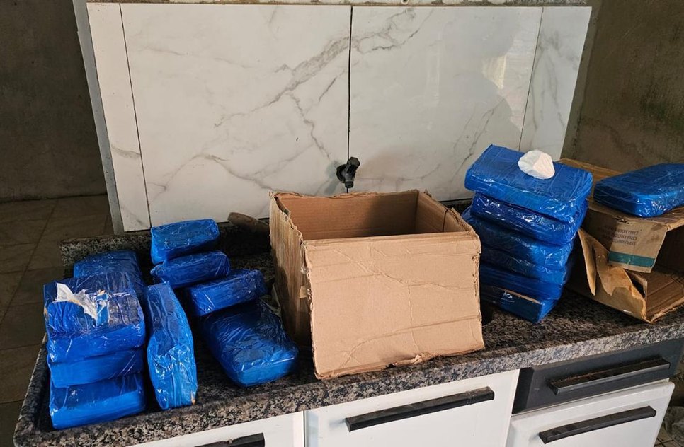 Polícia apreende 24 kg de cocaína avaliados em cerca de R$ 500 mil em Propriá / Foto: Foto: SSP/ Divulgação