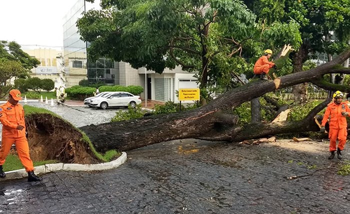 Foto: Cortesia ao Jornal Extra de Alagoas