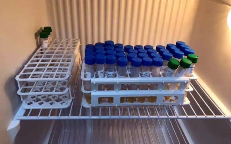 Criança desliga refrigerador e vacinas contra covid são perdidas no ES