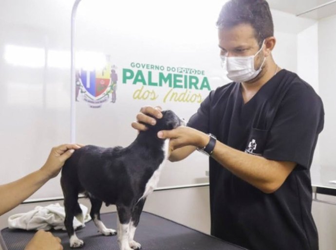 Pet Amigo promove palestra para protetores independentes e ONG’s em Palmeira