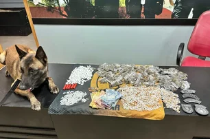 PM apreende cerca de duas mil pedras de Crack. Fonte: Internet