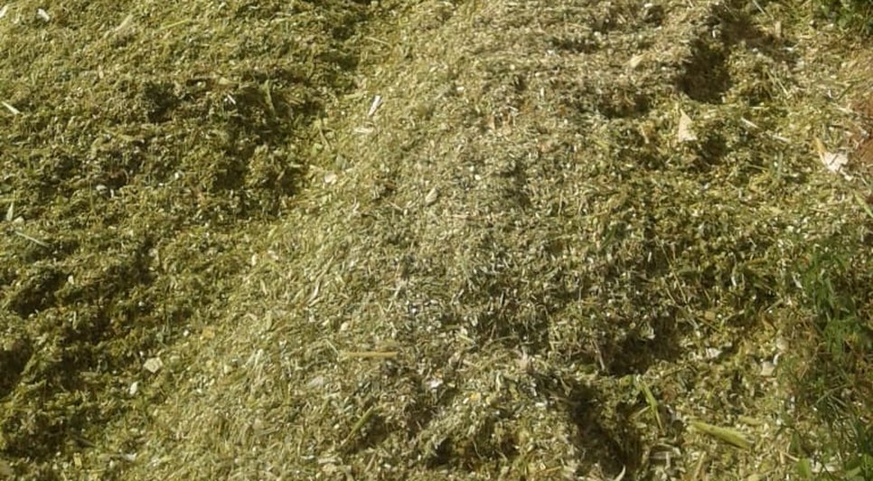 PRODUTORES RURAIS / Foto: Ascom/Seagri