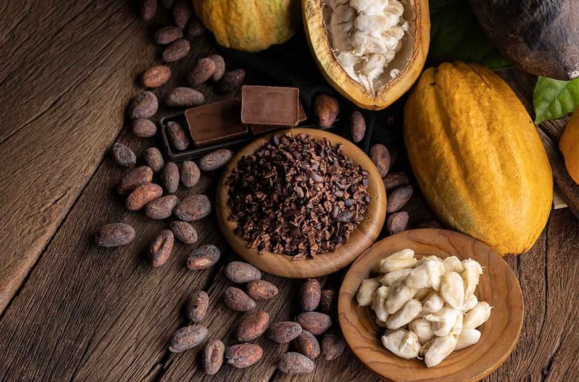 ALE aprova em 1º turno projeto que institui a Política de Incentivo à Produção de Cacau de Qualidade