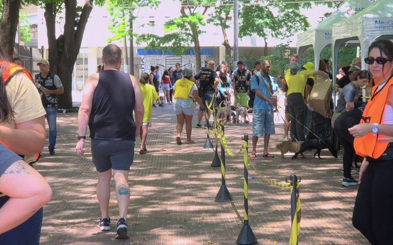 “Até a ração do cachorro é levada”, diz voluntário sobre ações públicas em São Paulo