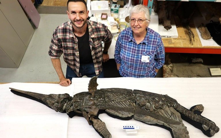 Cientistas identificam nova espécie de réptil marinho do período Jurássico no Reino Unido