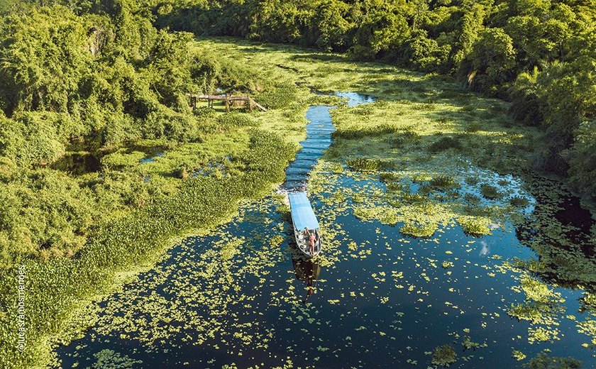 Pantanal e Bonito são opção de roteiro combinado para visitar o melhor do ecoturismo brasileiro