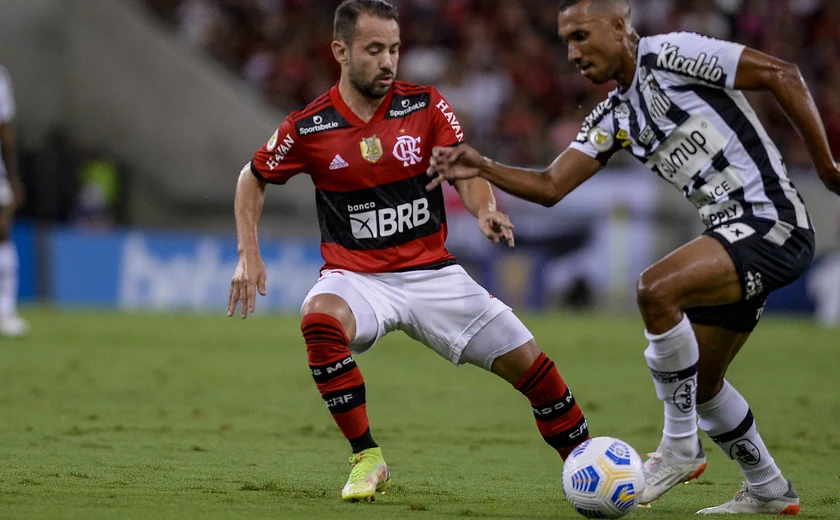 Flamengo x Santos ao vivo: acompanhe o jogo pelo Campeonato Brasileiro