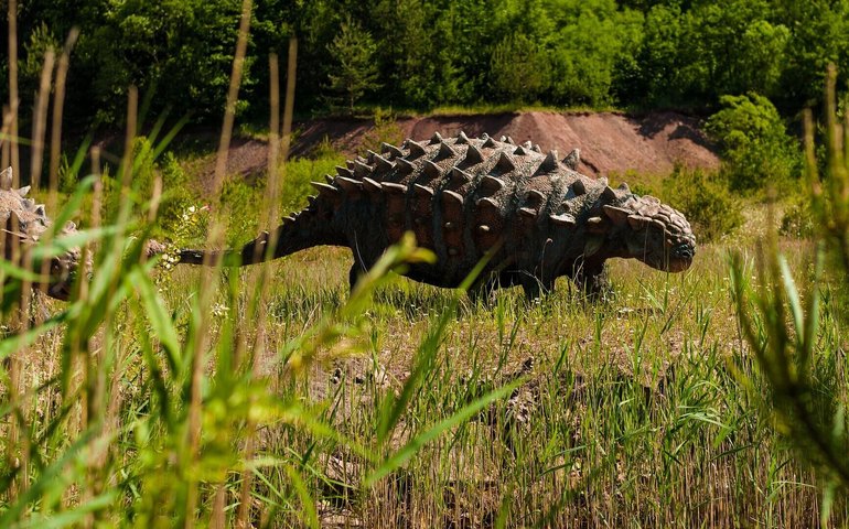 Paleontólogos descobrem nova espécie de anquilossauro com pegadas de 3 dedos no Canadá (FOTOS)