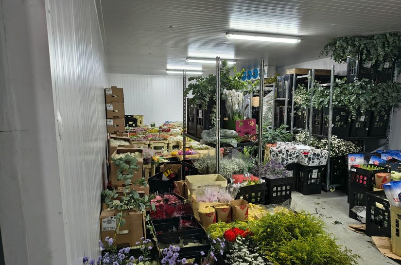 Sefaz encontra R$ 100 mil em flores sem nota fiscal em depósito irregular em Alagoas