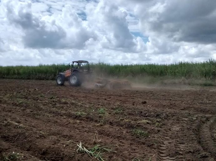 São Miguel dos disponibiliza assistência técnica para o pequeno produtor