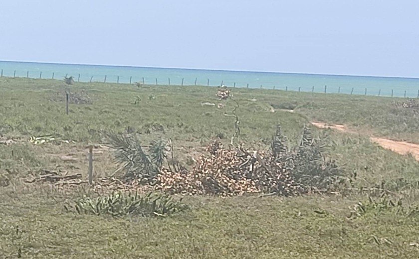 Advogado denuncia invasão de terrenos de um loteamento na praia de Coruripe