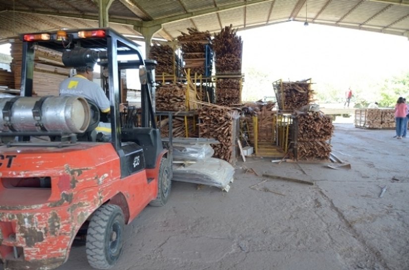 Madeiras e outros materiais doados são transformados na Fábrica de Esperança