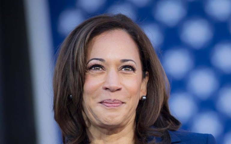Vice de Biden, Kamala Harris criticou Bolsonaro por devastação na Amazônia