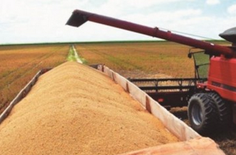 Governo promove Dia de Campo sobre soja em Campo Alegre, hoje (4)