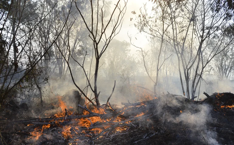 Incêndios atingem o Parque Nacional da Chapada dos Veadeiros, ameaçam casas e animais da região