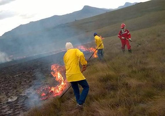 Lei institui Política de Manejo Integrado do Fogo para combater queimadas