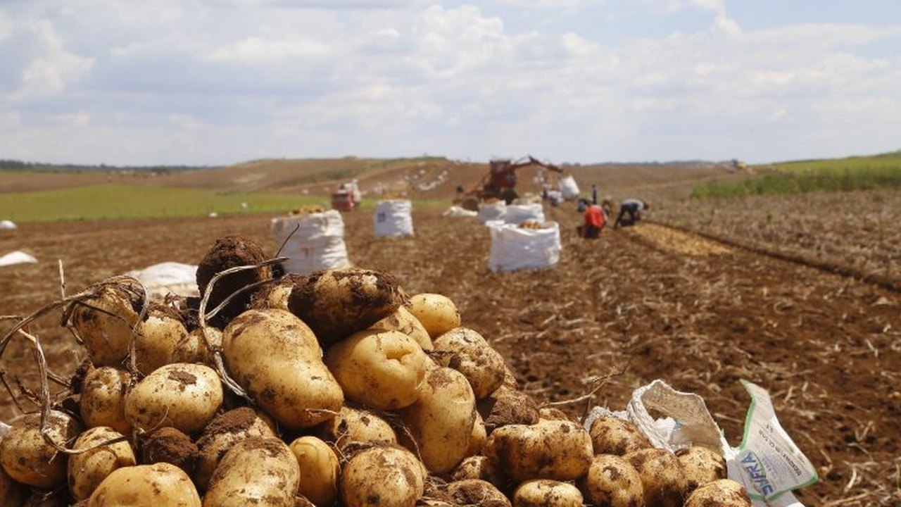 Comissão debate o Plano Safra 2023/2024 e a agricultura familiar