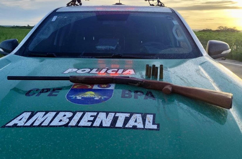 PM-AL apreende arma, aves silvestres e redes de pesca predatória no interior