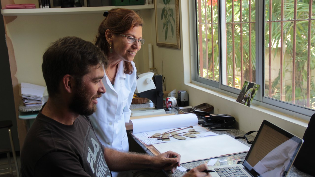 Pesquisador da USP visita Herbário MAC