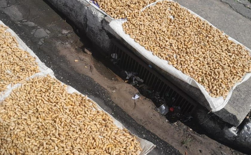Vigilância Sanitária apreende amendoim impróprio e álcool líquido em Maceió
