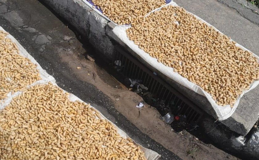 Vigilância Sanitária apreende amendoim impróprio e álcool líquido em Maceió